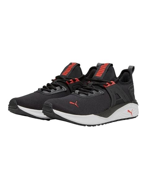 puma shoes myer